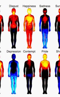 An Atlas Of The Human Body That Maps Where We Feel Emotions |