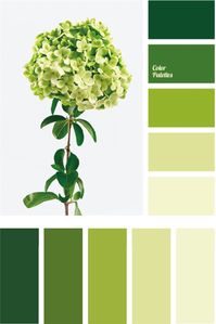 Fresh colors of greens and limes of different darkness and saturation in their combination give freshness of feelings and ideas, a new look at the situation, and invigorate the psyche. They also provide a sense of connection with nature and relieve stress. In home decoration, shades of green are especially good when it is not possible to use live plants for interior decoration. Delicate shades of light green are in harmony with pastel peach tones, bright green is emphasized by a muted gray-blue, and the whole palette can be combined with a white background or smooth black surfaces, stone, wood and bamboo.