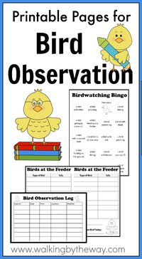 Printable Pages for your student to create a Bird Observation Notebook; great for homeschool nature study or backyard bird watching!