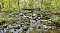 10 Fantastic Hikes Near Sperryville, Virginia