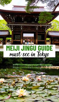 If there's one place you must see in Tokyo, it’s Meiji Jingu. This famous Shinto shrine, set in a large forested area, is a serene oasis in the heart of Japan's bustling capital. In this travel guide, we explain why this shrine is a top destination and provide essential visiting tips. You'll also find information about the Meiji Jingu Museum and Garden.