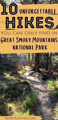 Great Smoky Mountains National Park is home to some of the best hiking in the country. But with so many hiking trails available, how do you know which trails you should explore? Take a look at this list of the most unforgettable hikes in Great Smoky Mountains National Park! Whether you're looking for the best waterfall hikes or the best hikes for kids, you'll find exactly what you want on this list of the top hiking trails in the Smokies. hike|hiking|hiker|hiking trails|Smoky Mountains