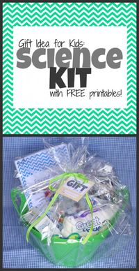 Unique Gift for Kids: Science Kit (includes free printable experiment book and matching gift tags)