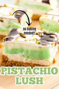 This Pistachio Lush is the perfect easy dessert for entertaining, especially when you want something decadent but not too heavy.