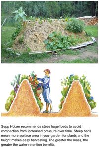 [PaidAd] 25 Home Vegetable Garden Design Tips To Try Out Now #homevegetablegardendesign