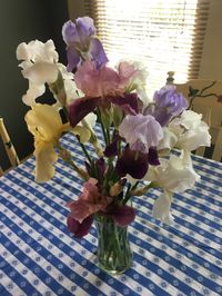 Iris bouquet after raiding my garden beds