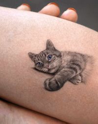 21 Amazingly Realistic Cat Tattoo Design Ideas In 2024