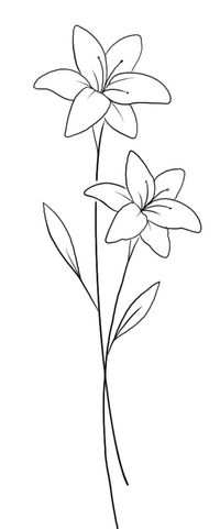 A flower drawing is a visual representation of a flower, typically created using various art mediums such as pencils, charcoal, pastels, paints, or digital tools. Flower drawings often capture the delicate beauty and intricate details of flowers, showcasing their unique forms, colors, and textures. They can be realistic or stylized, depending on the artist's style and intention.