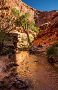 Desert Canyon Paradise, Grand Staircase Escalante, Coyote Gulch, Utah Photography, Southwest Landscape Art, Nature, Fine Art Photo Print by Ultimateplaces on Etsy