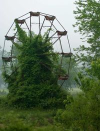 9. Lake Shawnee Amusement Park Ferris Wheel Taken Over By Nature