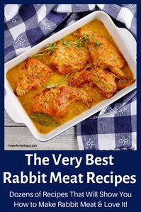 The very best rabbit meat recipes. Dozens of meat rabbit recipes that show you how to cook rabbit and love it.