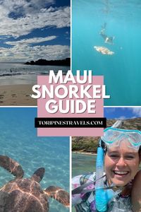 Where to snorkel in Maui | Maui Snorkeling for beginners | Turtles in Maui | Maui Vacation | Hawaii Snorkeling