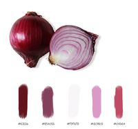 Red Onion color palette