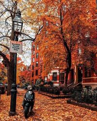 Autumn in Boston, USA