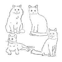 Premium Vector | Cats set vector illustration handdrawn cute fluffy cats domestic cat set