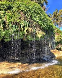 Prepare to be amazed when you come upon the main attraction. More like a grotto than waterfall, this secret hideout will be your new favorite escape.