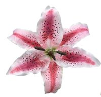 This is an extra large pink Stargazer Lily Hairflower clip. This is a 6+inch wide flower for your hair. There is an alligator clip on the back.