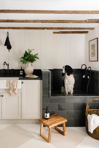 Stylish and functional, this pet-friendly laundry room features a dedicated dog washing station and rustic elements. Perfect for pet lovers who value both aesthetics and practicality.   #PetFriendlyDesign #LaundryRoomIdeas #HomeDesign #InteriorDesign #MeganCrosbieDesign