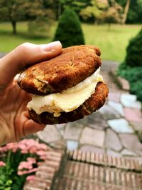 Snickerdoodle Cookie Ice Cream Sandwiches — Genesis Performance Chiropractic of Elverson, PA