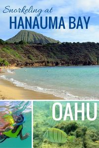 Snorkeling at Hanauma Bay Nature Preserve in Oahu with kids | Hawaii with kids