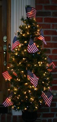 This is what my Christmas tree will look like! #Merica