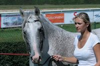 Koně v akci - Pardubice 2.9.2011 – Karolina Vašíčková – album na Rajčeti