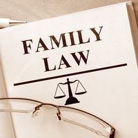 Matters of child adoption, custody, and divorce are of immense significance. Thus they require someone to look into them with utter care and importance. Your family should get legal support from certified best family lawyers in New York who are professed in what they do.