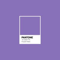 #PurpleHebe #pantone #luxurydotcom