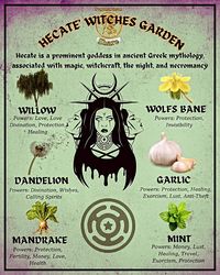 **Hecate's Witches Garden: A Mystical Sanctuary** Hecate, the ancient goddess of magic and witchcraft, inspires many to create enchanting witches' gardens. These mystical spaces are not just about aesthetics; they are sanctuaries for spiritual growth and connection with nature. 🌿✨ A Hecate-inspired garden often features plants like mugwort, lavender, and yew, each holding unique magical properties. These gardens serve as a haven for meditation, spellwork, and rituals under the moonlight. 🌕🔮...