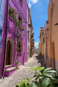 Cosa vedere a Bosa è una domanda che si pongono molti viaggiatori alla scoperta della Sardegna. Le sue stradine strette e tortuose, le antiche concerie e il castello che la sovrasta sono solo alcune delle tante attrazioni che rendono Bosa una meta imperdibile per chi desidera scoprire uno dei borghi sardi più caratteristici. Scopri cosa vedere a Bosa leggendo il mio articolo! #bosa #sardegna