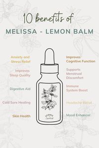 Benefits of Melissa essential oil, lemon balm oil, science of essentials, how to use Melissa oil