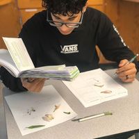 On December 5, Biology students conducted flower dissections to study the structure of a typical flower & the male and female reproductive organs needed for sexual reproduction in flowering plants. #scienceinrm41 #apmcota #flowerdissection #learnbydoing #activelearning