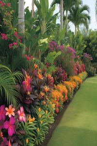 Create a tropical haven in your backyard with vibrant flower beds and iconic Florida palm trees. Discover more landscaping ideas to transform your space and follow us for more tropical inspiration!