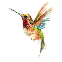 Perfectly beautiful hummingbird. Color: Colorful. Tags: Amazing, Beautiful