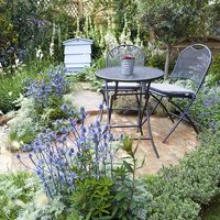 Eryngium planum ‘Blue Glitter’ (Sea Holly) is an outstanding perennial that thrives in hot dry planting situations and blooms in summer with tall stems of spiny, glistening blue flowers. Drought resistant/drought tolerant plant (xeric).