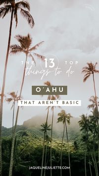 The ultimate first-timers guide for seeing the beautiful island of Oahu and its wonders. Where to stay, where to eat vegan, what to do/see in Hawaii… The best island in Hawaii to explore the tropical nature & island flair!