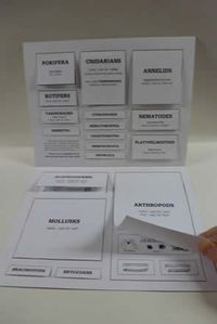 Lift-the-flap classification chart of invertebrates – Ellen McHenry's Basement Workshop