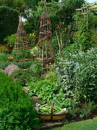 The French Potager Garden. A potager is the French term for an ornamental vegetable or kitchen garden. This design is to provide a garden of abundance in an aesthetically pleasing manner