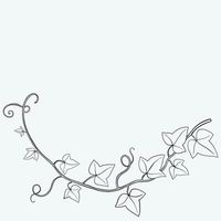 Ivy Border Vector Art, Icons, and Graphics for Free Download