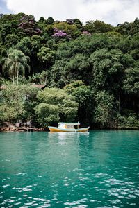 Carioca Bay in Paratyics