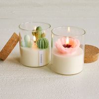 Terrarium Candle | Cactus Candle, Cool Candles | Uncommon Goods