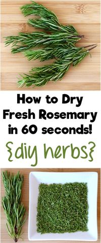 Drying Fresh Rosemary in 90 Seconds! - The Frugal Girls