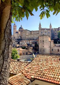 Verscholen in de heuvels in het noorden van de regio Le Marche ligt Urbino, een van de elegantste steden uit de renaissance. Het historisch centrum, UNESCO-Werelderfgoed, is nog steeds zoals het we…