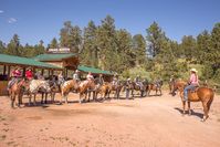 THE STABLES AT PALMER GULCH - Our horseback riding trails,  are perfect things to do near Mount Rushmore Just minutes from Rapid City, Deadwood and Custer State Park!