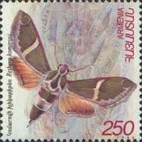 Stamp: Moth (Rethera komarovi) (Armenia) (Insects) Mi:AM 338,Sn:AM 580,Yt:AM 298,Sg:AM 398