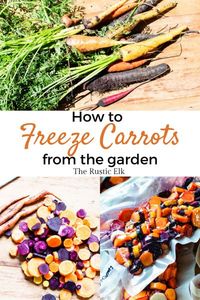 Preserving carrots is a great way to keep them for long periods of time when you don't have proper storage for them. Learn how to freeze carrots from the garden to use in soups, stews, or even fresh and why it's the best way to preserve your carrot harvest.