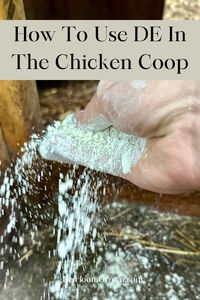 Diatomaceous earth is a natural product that can be used in your chicken coop for many purposes. Learn how you can use DE in your chicken coop to keep your chickens healthy.