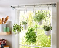 This simple herb hanging idea uses a steel pipe, rope, and glazed planters to make a stunning indoor garden display.