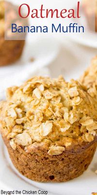 Oatmeal Banana Muffins