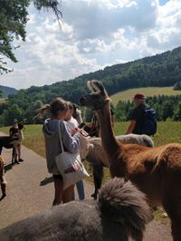 #alpaca #aesthetic #hiking